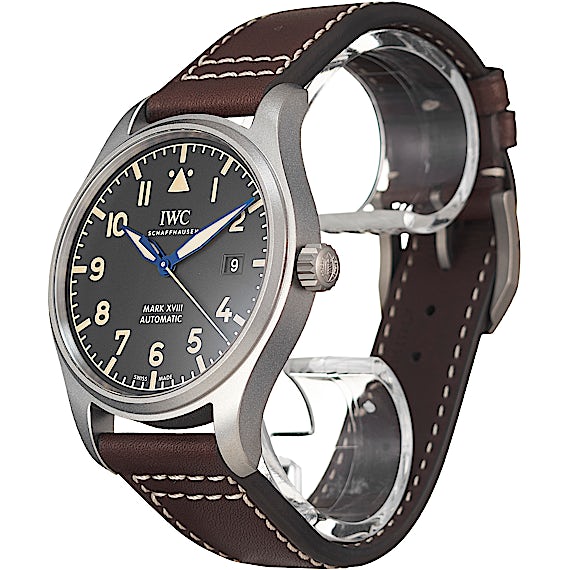 IWC Pilot's Watch IW327006 IWC Pilot's Watch IW327006