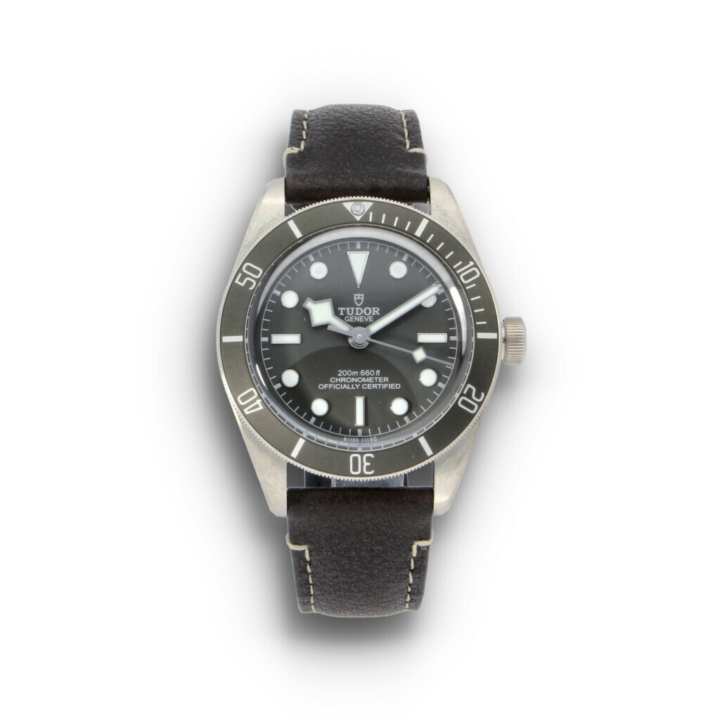 Tudor Black Bay
