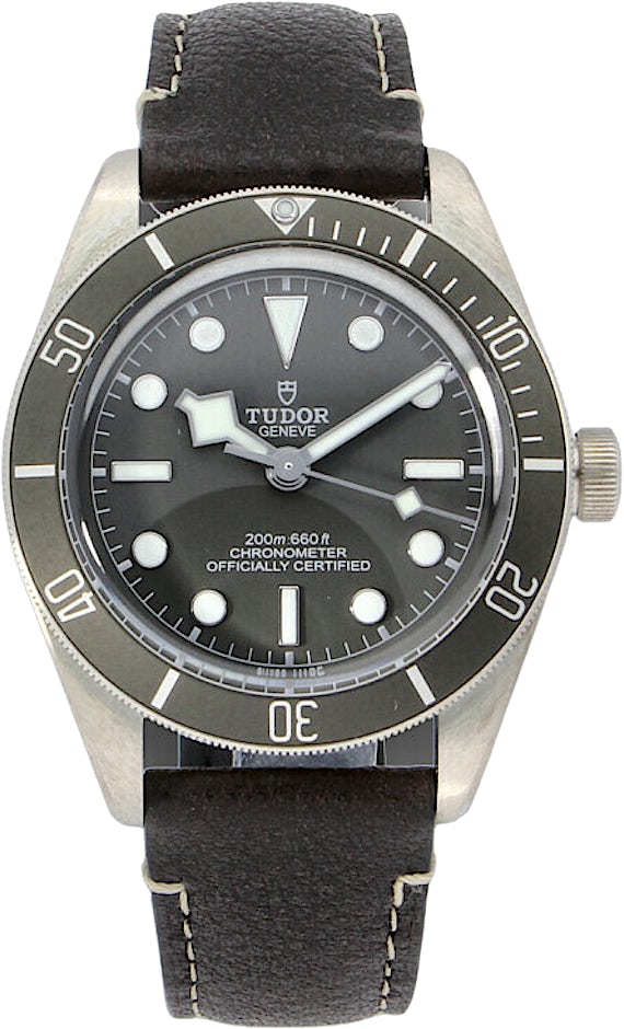 Tudor Black Bay 79010SG-0001