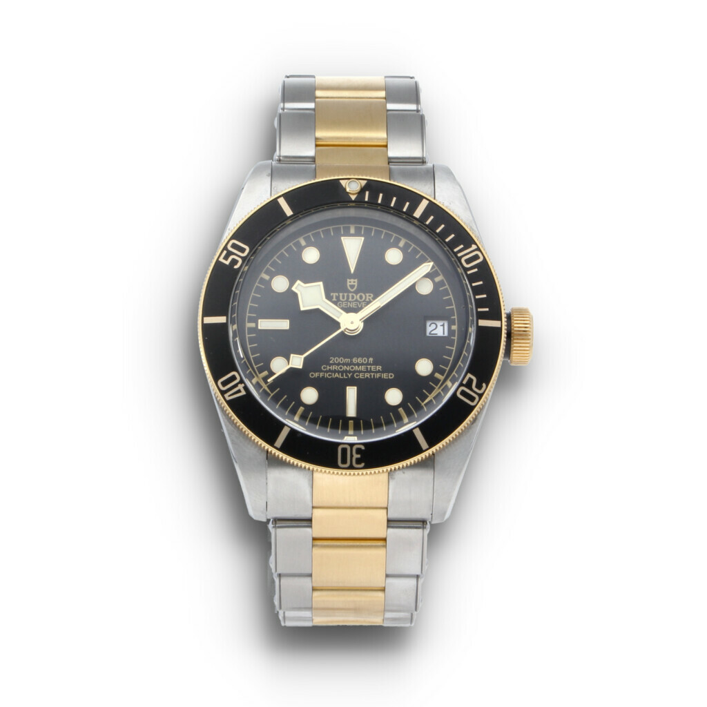 Tudor Black Bay 79733N-0008 en | CHRONEXT