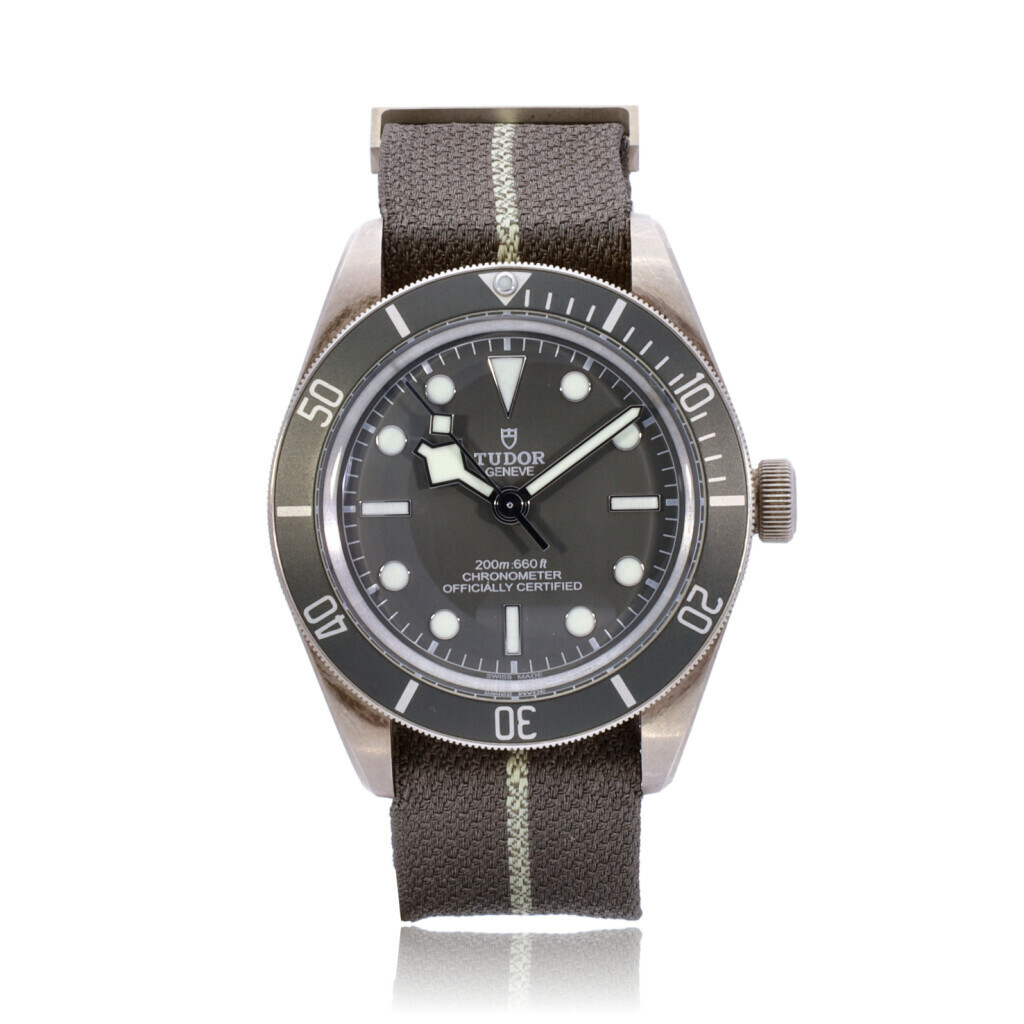 Tudor Black Bay