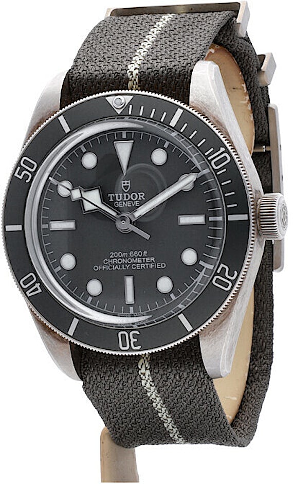 Tudor Black Bay 79010SG