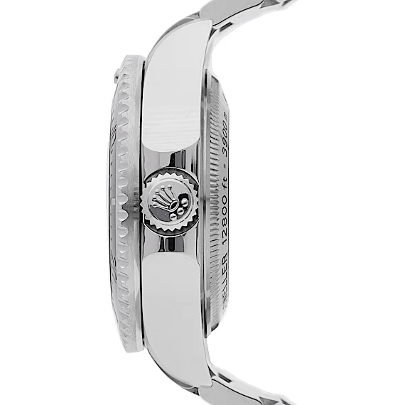 Rolex Sea-Dweller 116660 Rolex Sea-Dweller 116660
