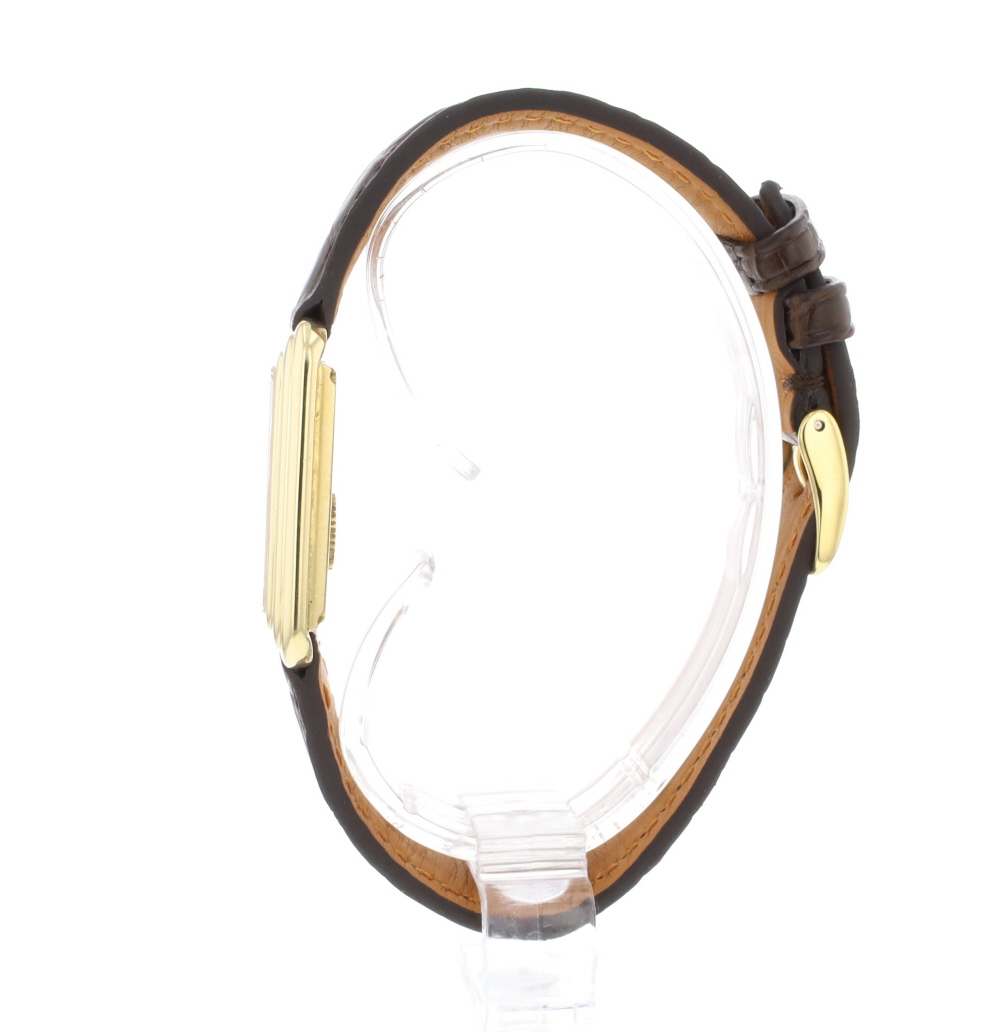 Piaget Protocole 74101