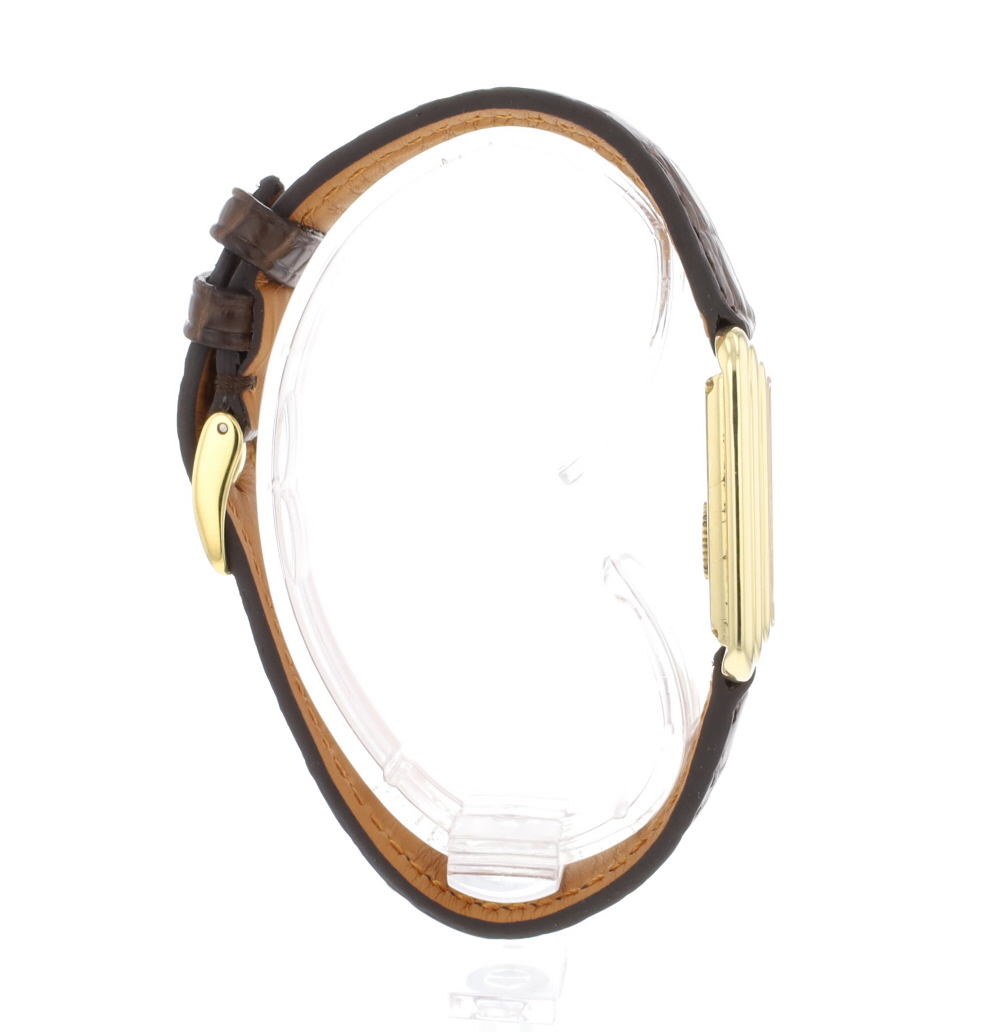 Piaget Protocole 74101