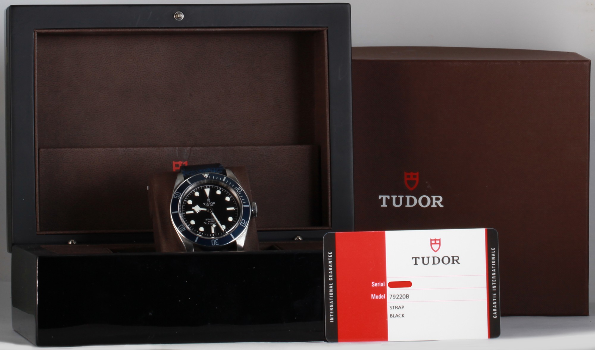 Tudor Black Bay 79220B