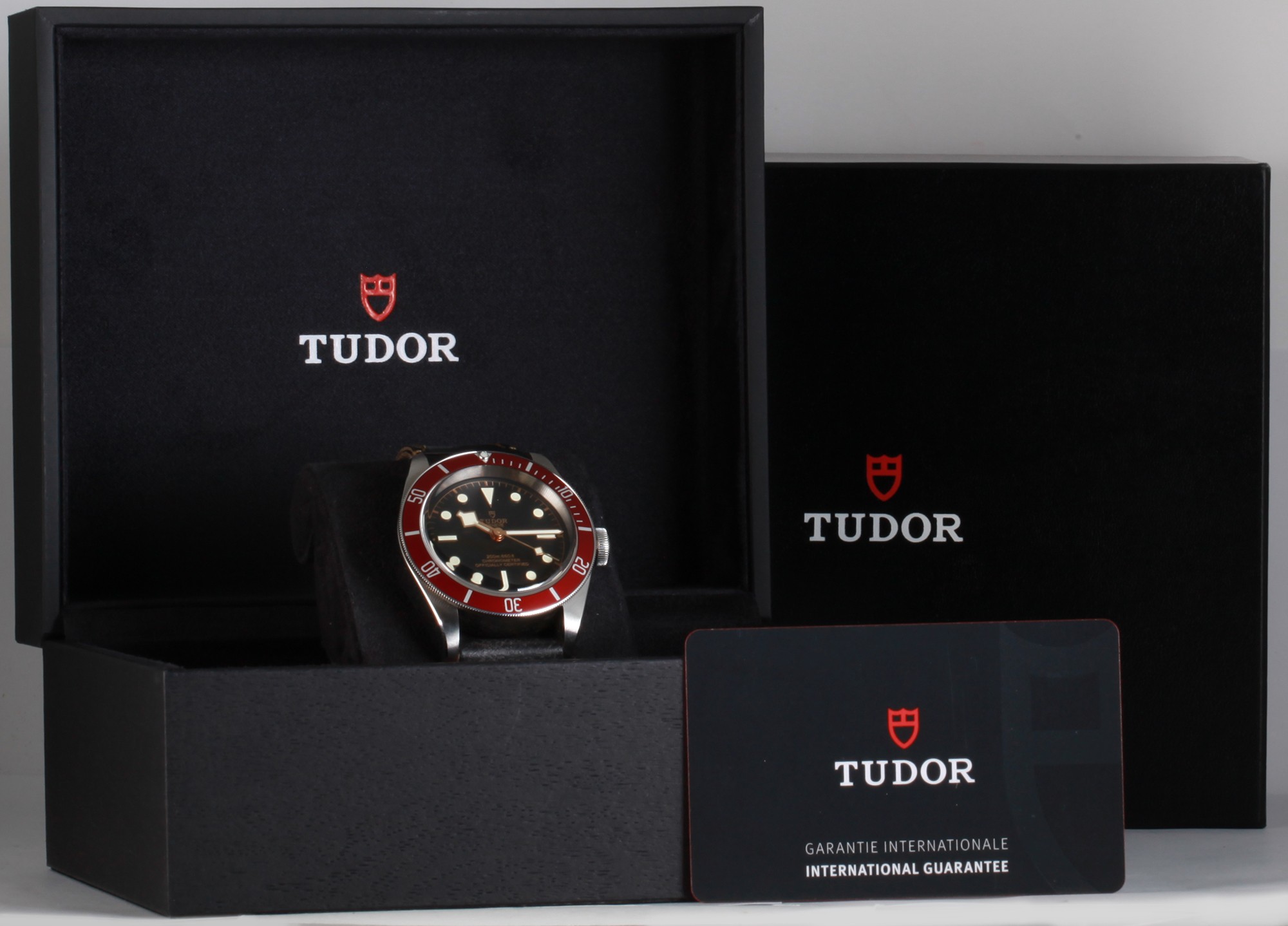 Tudor Black Bay 79230R