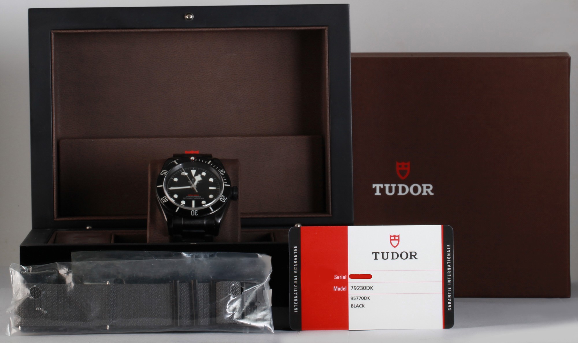 Tudor Black Bay 79230DK