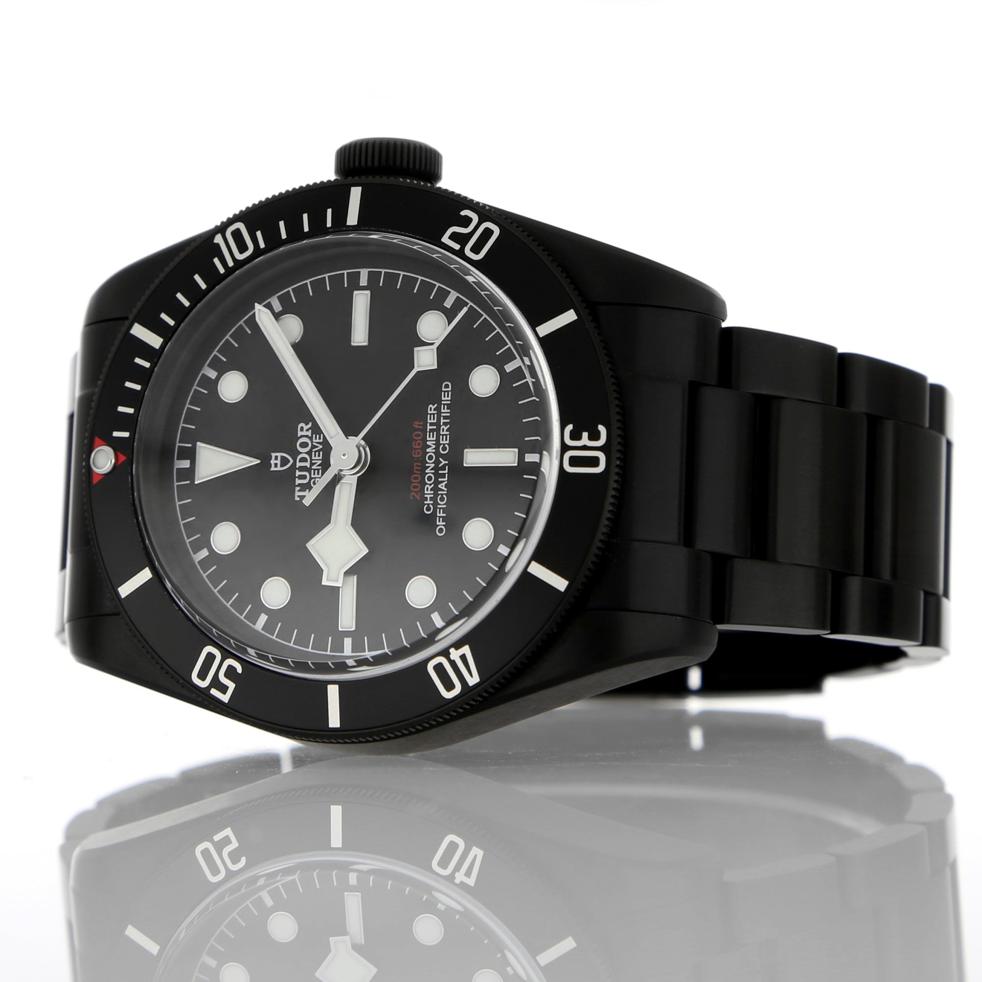 Tudor Black Bay 79230DK