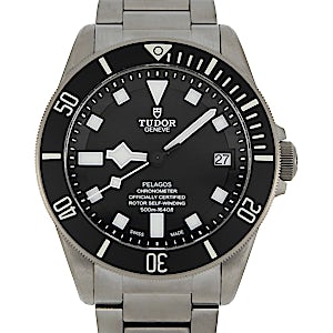Tudor Pelagos 25600TN