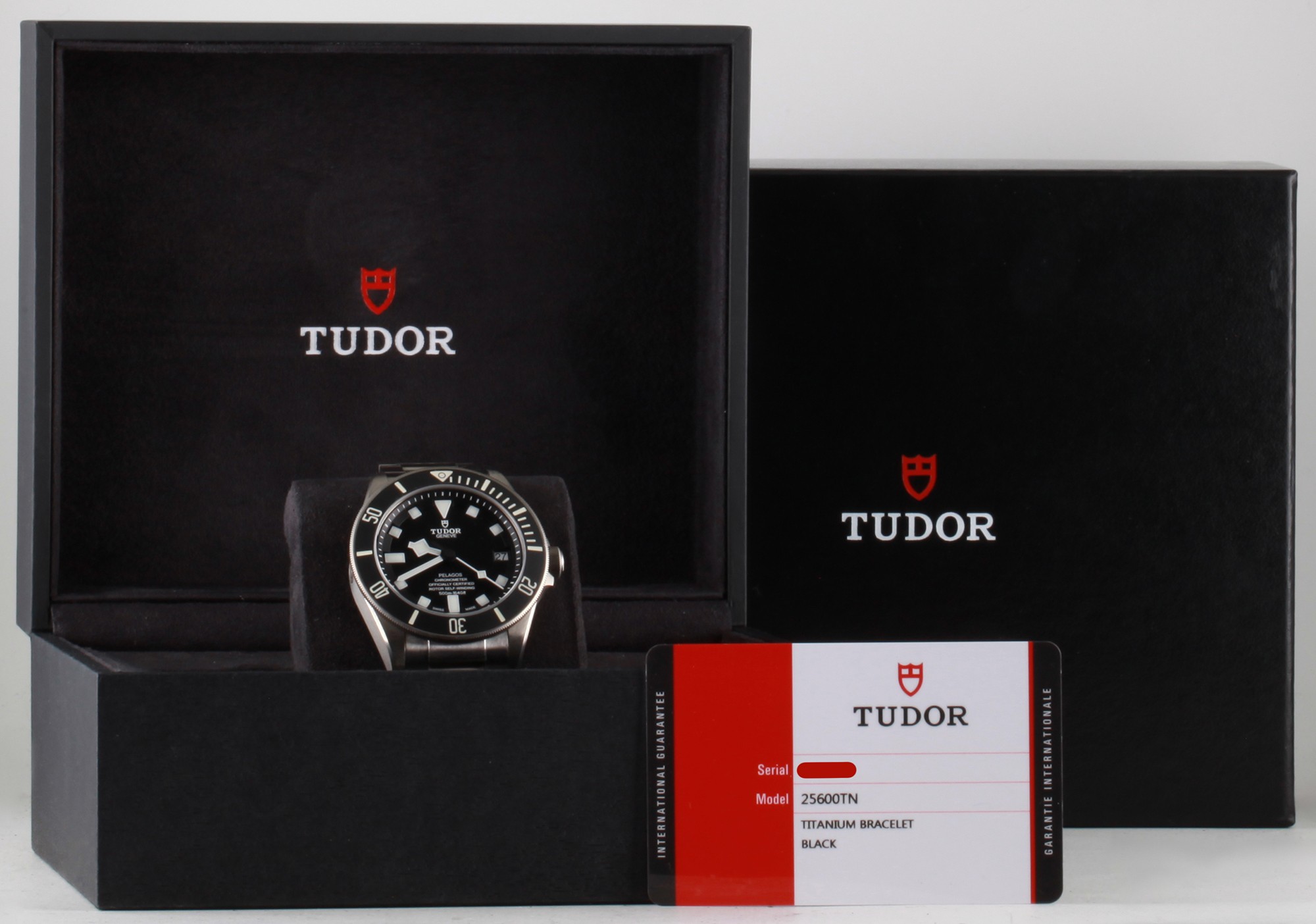 Tudor Pelagos 25600TN