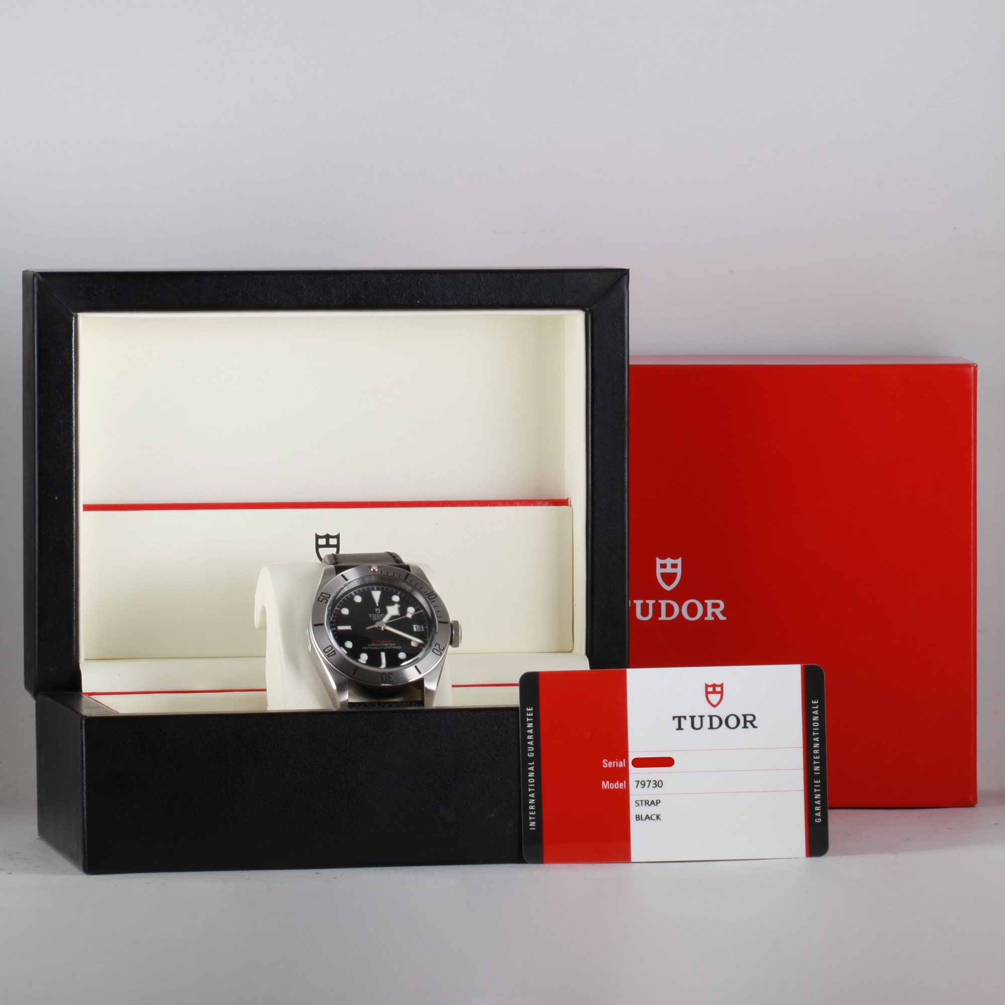 Tudor Black Bay 79730