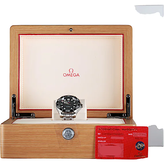 Omega Seamaster 21030422001001 Omega Seamaster 21030422001001