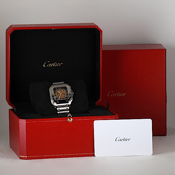 Cartier Santos WSSA0065 Cartier Santos WSSA0065