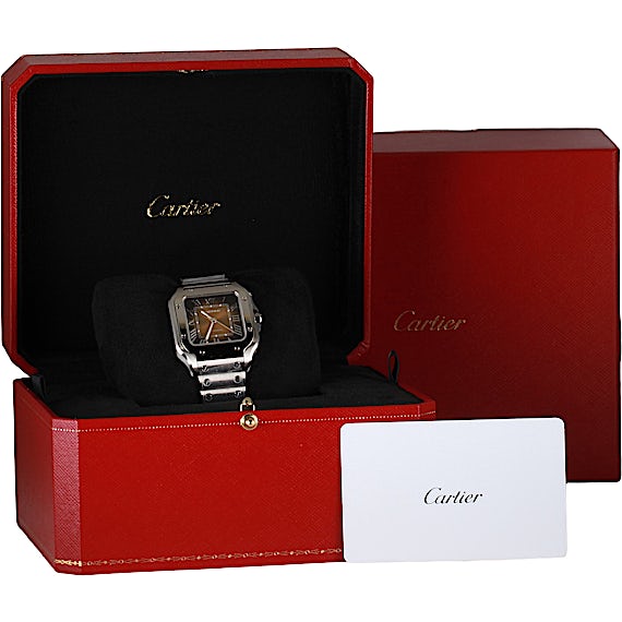 Cartier Santos WSSA0065 Cartier Santos WSSA0065