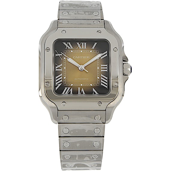 Cartier Santos WSSA0065 Cartier Santos WSSA0065