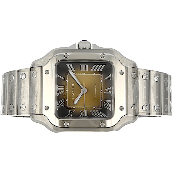 Cartier Santos WSSA0065 Cartier Santos WSSA0065