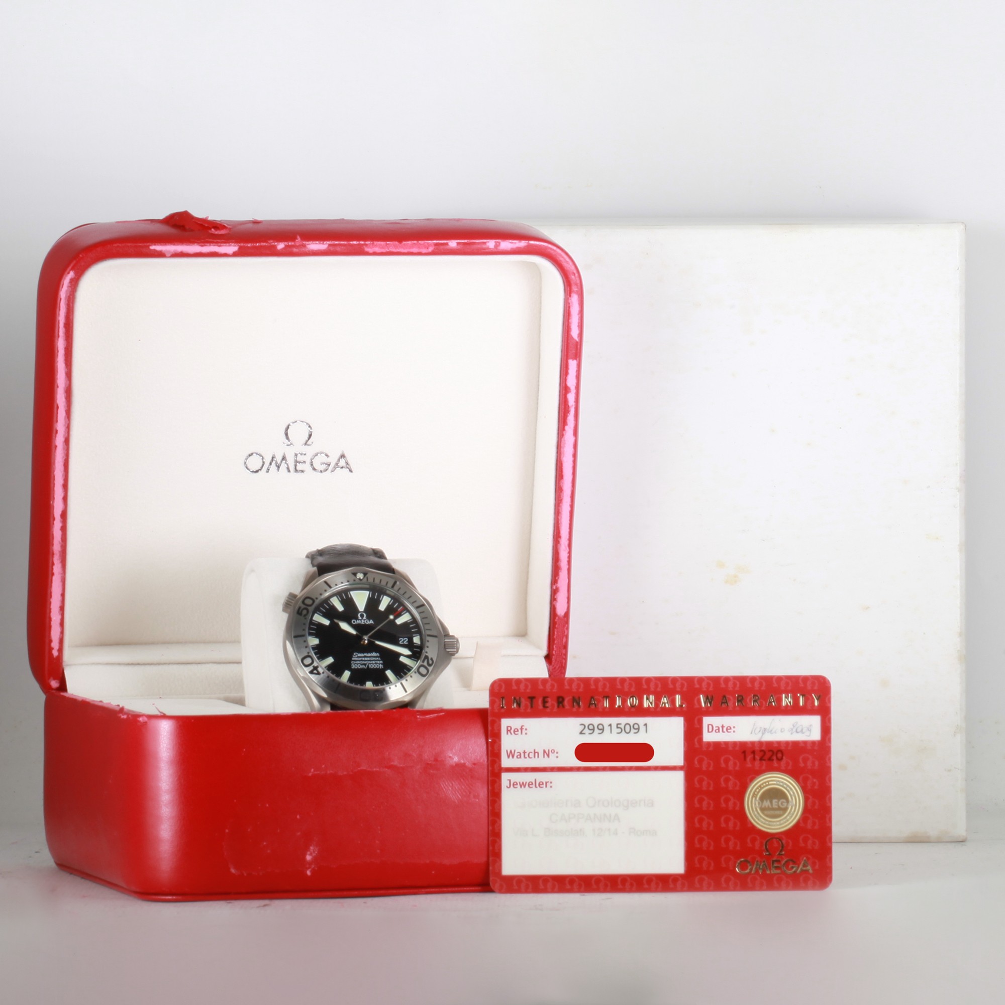 Omega Seamaster 29915091