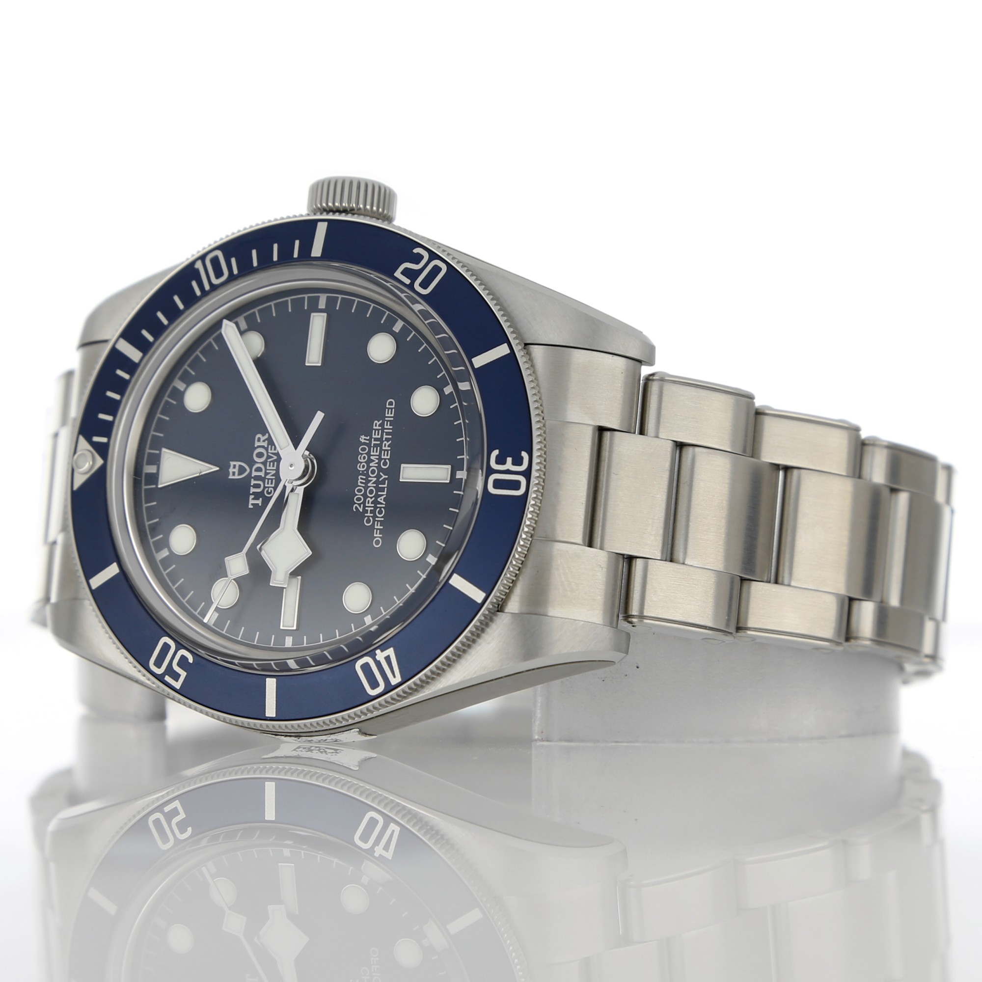 Tudor Black Bay 79030B