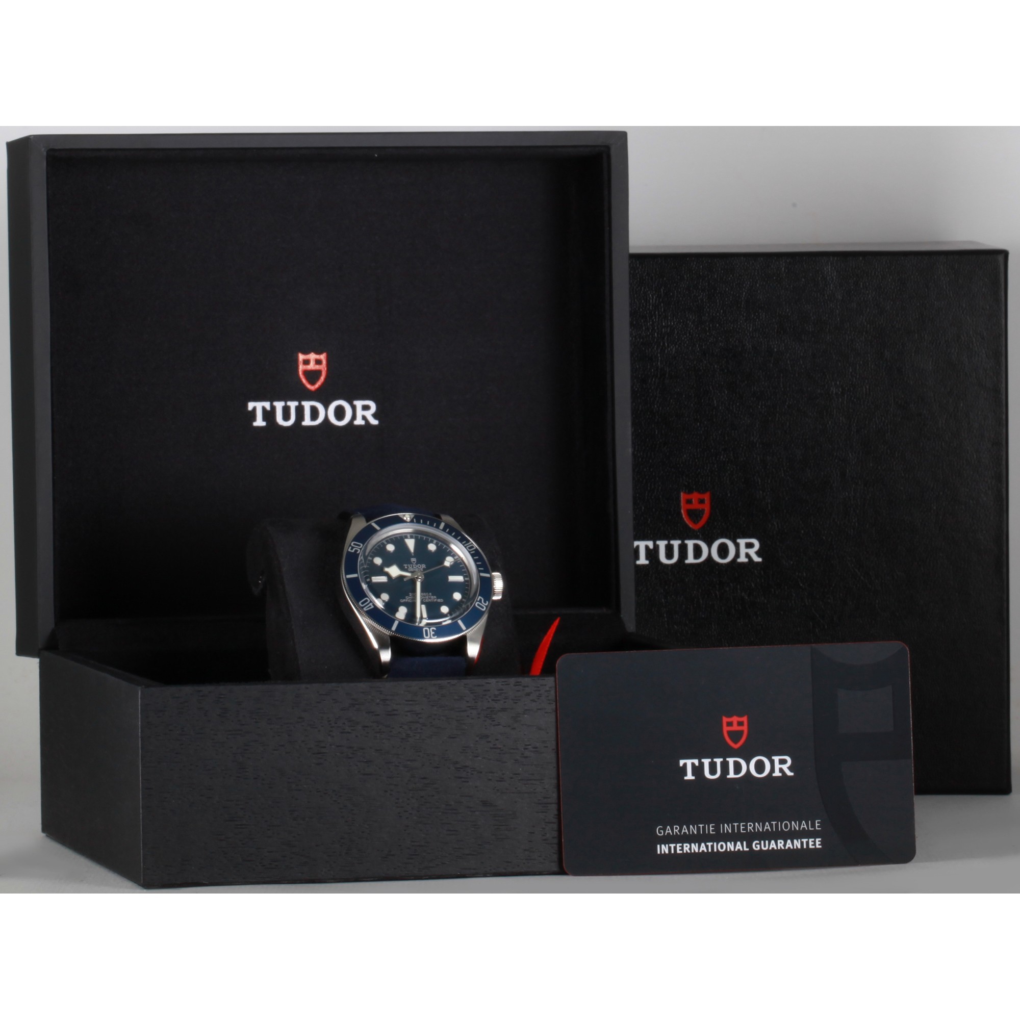 Tudor Black Bay 79030B
