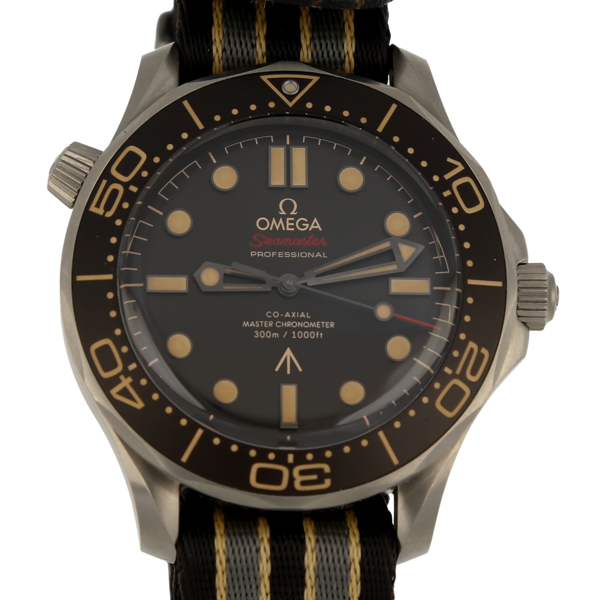 Omega Seamaster 21092422001001