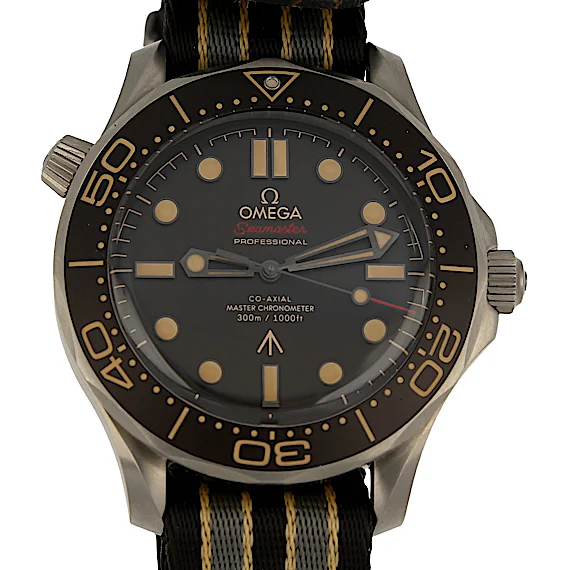 Omega Seamaster 21092422001001 Omega Seamaster 21092422001001