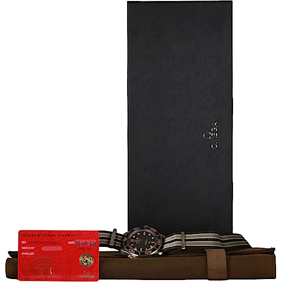 Omega Seamaster 21092422001001 Omega Seamaster 21092422001001