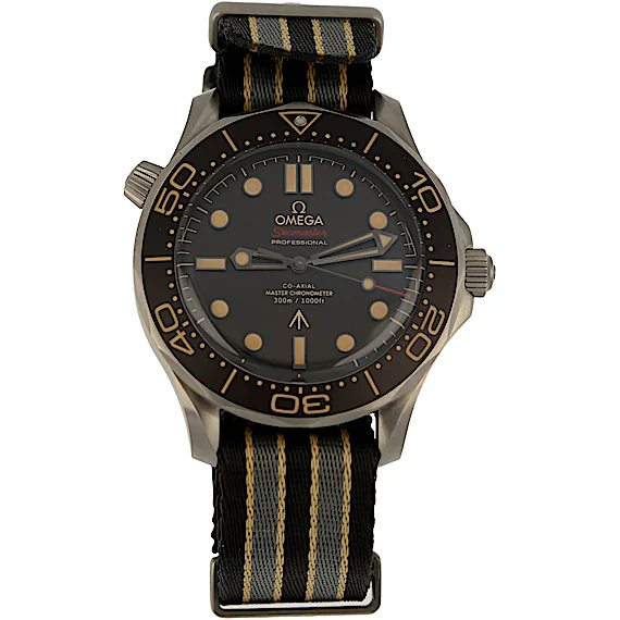 Omega Seamaster 21092422001001 Omega Seamaster 21092422001001