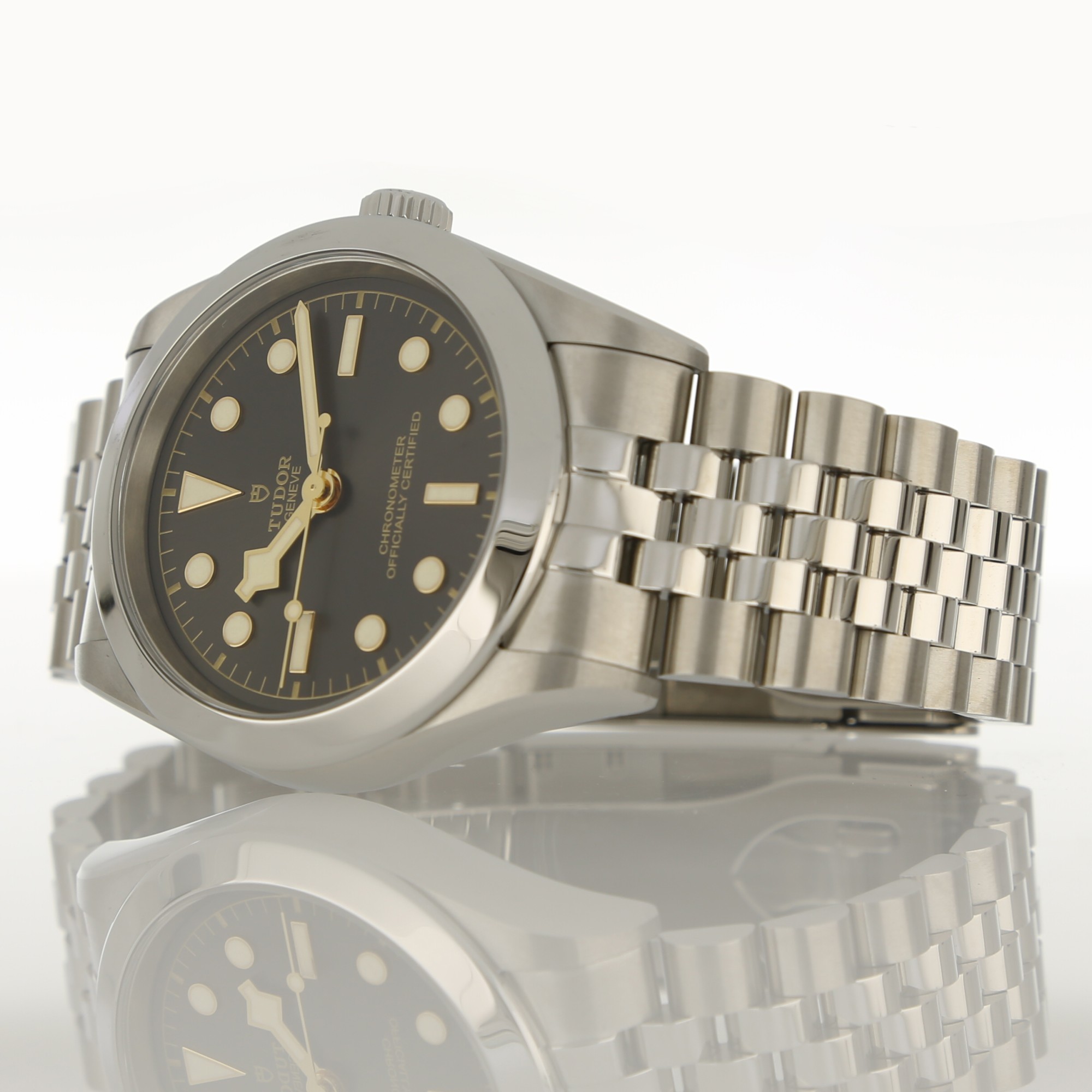 Tudor Black Bay 79660