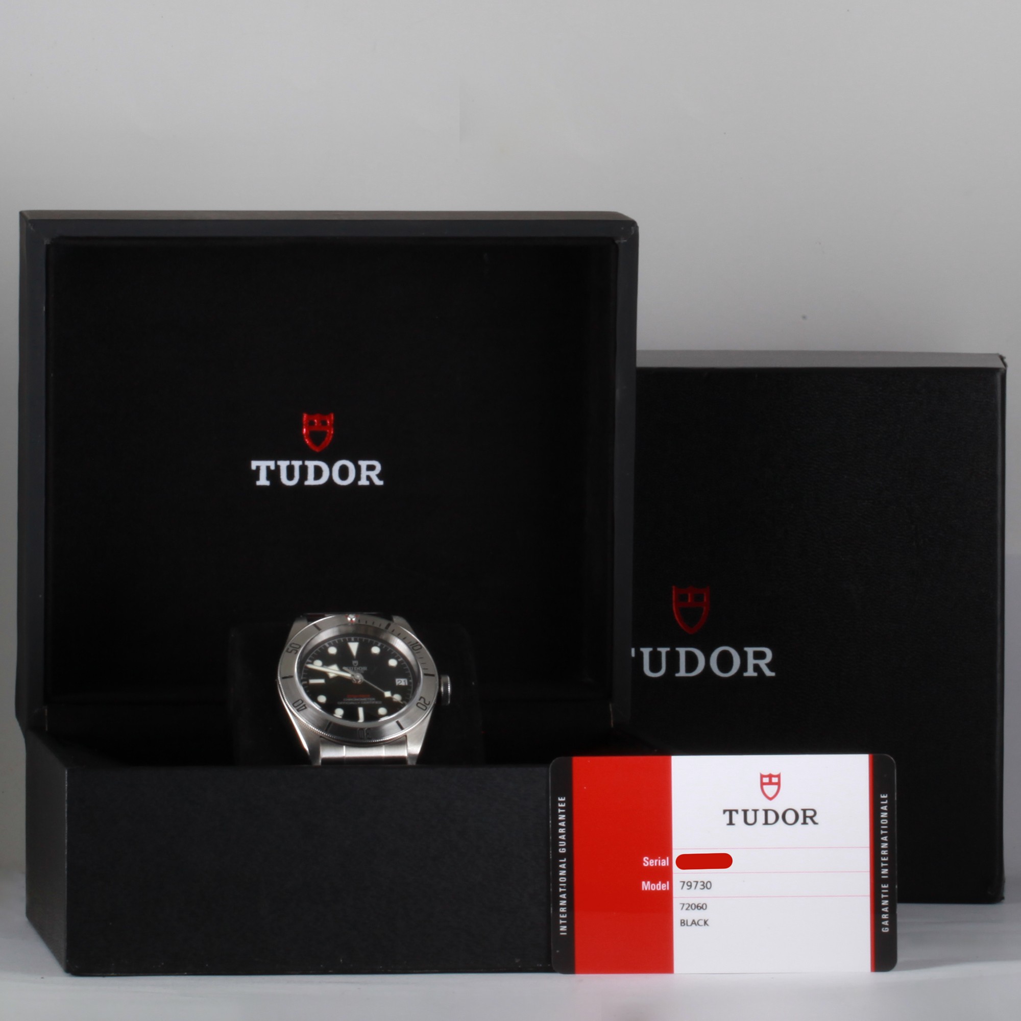 Tudor Black Bay 79730