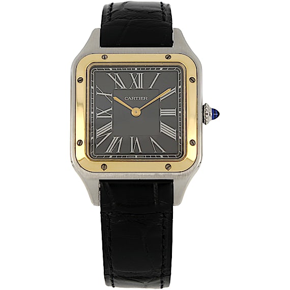 Cartier Santos W2SA0015 Cartier Santos W2SA0015
