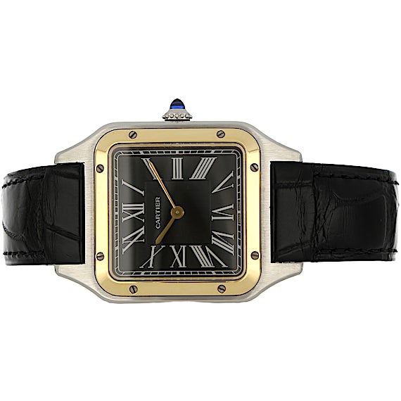 Cartier Santos W2SA0015 Cartier Santos W2SA0015