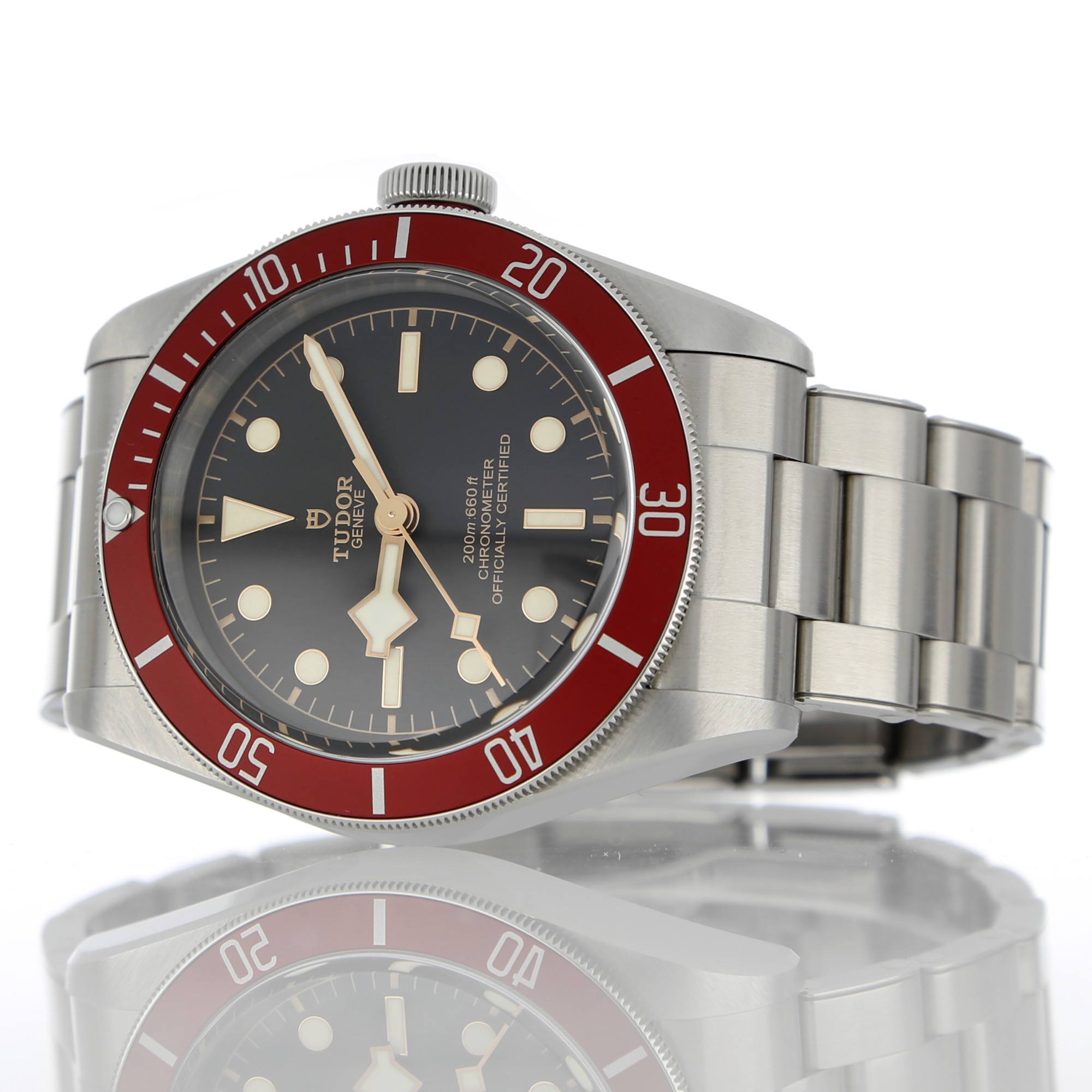 Tudor Black Bay 79230R