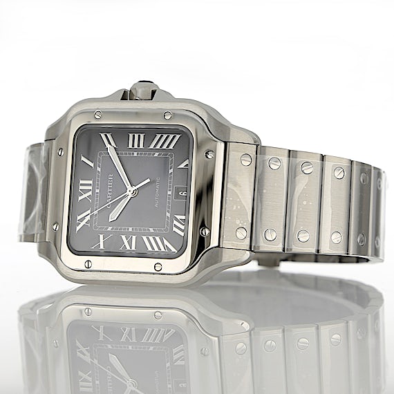 Cartier Santos WSSA0071 Cartier Santos WSSA0071