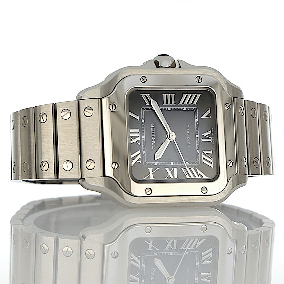 Cartier Santos WSSA0063 Cartier Santos WSSA0063