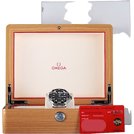 Omega Seamaster 21030422001001 Omega Seamaster 21030422001001