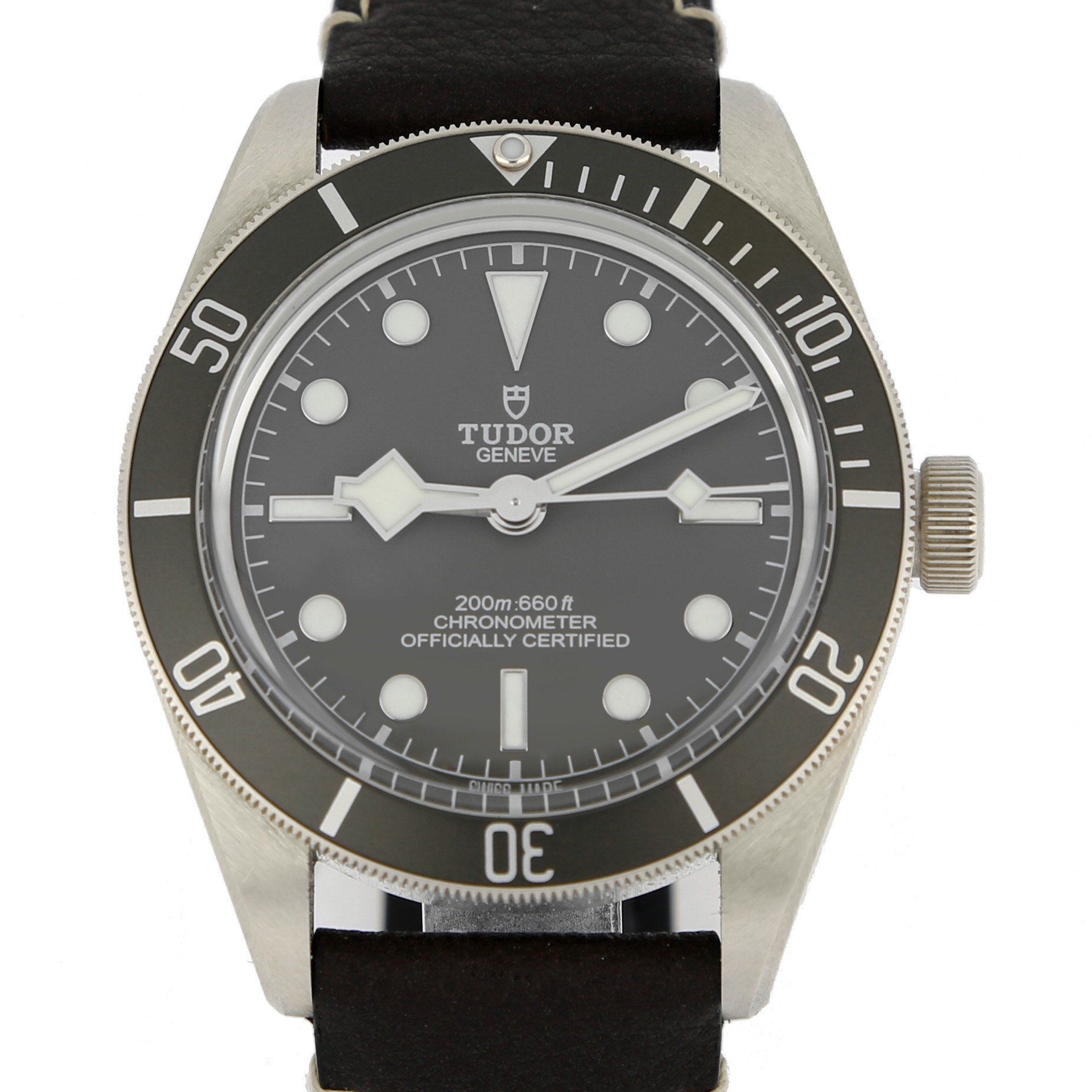 Tudor Black Bay 79010SG