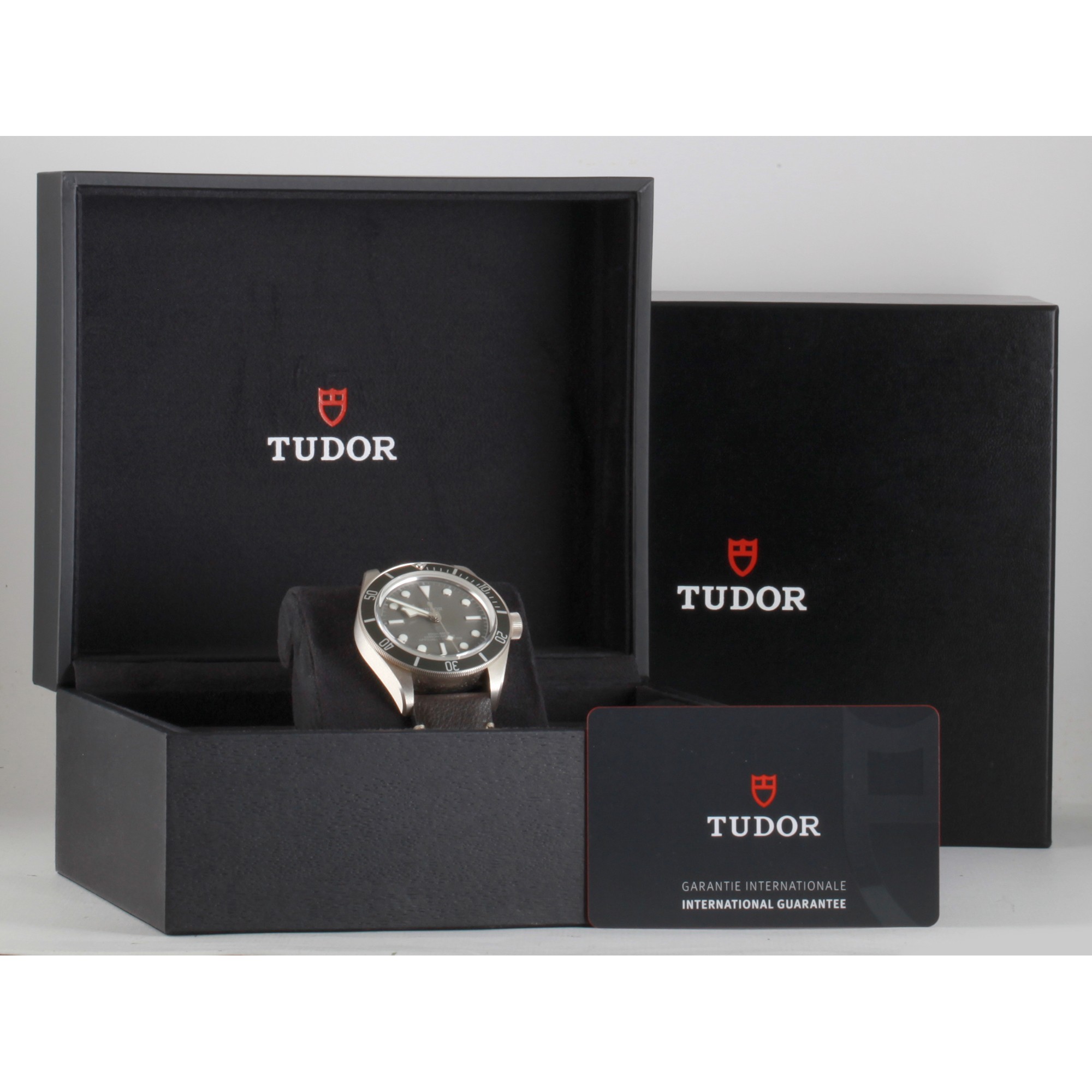 Tudor Black Bay 79010SG