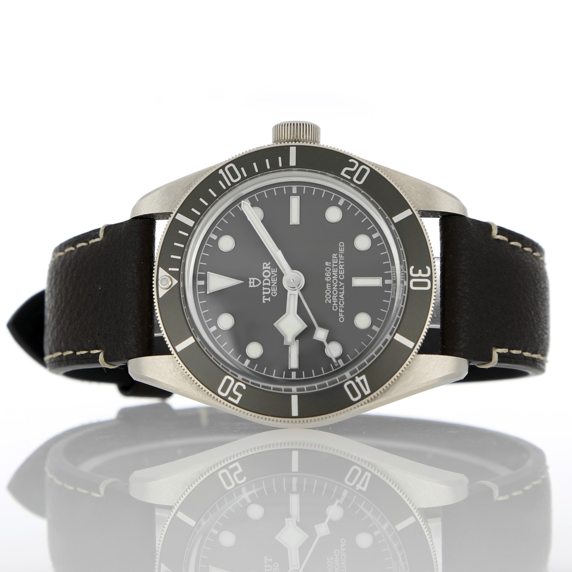 Tudor Black Bay 79010SG