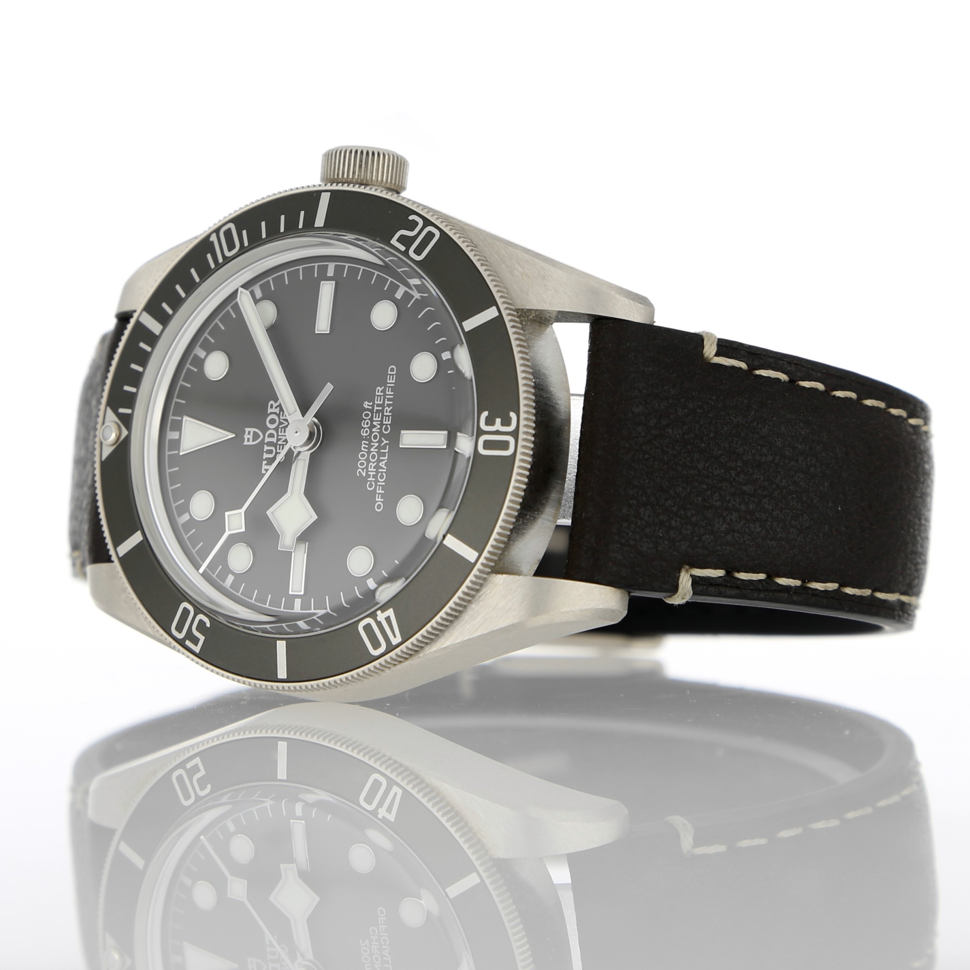 Tudor Black Bay 79010SG
