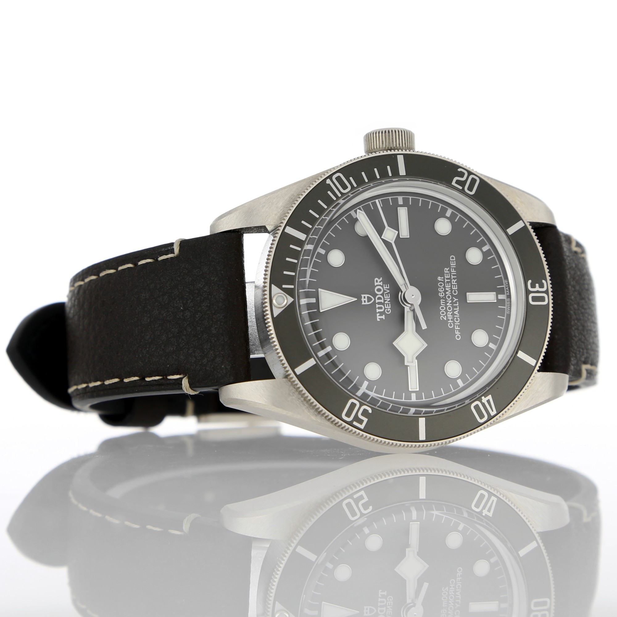 Tudor Black Bay 79010SG