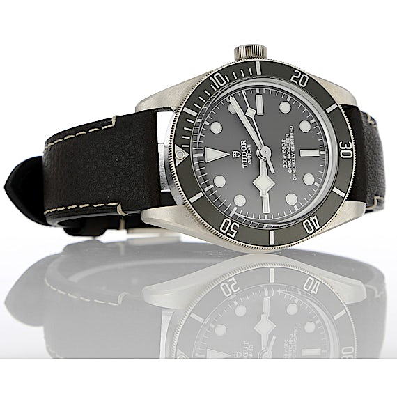 Tudor Black Bay 79010SG Tudor Black Bay 79010SG