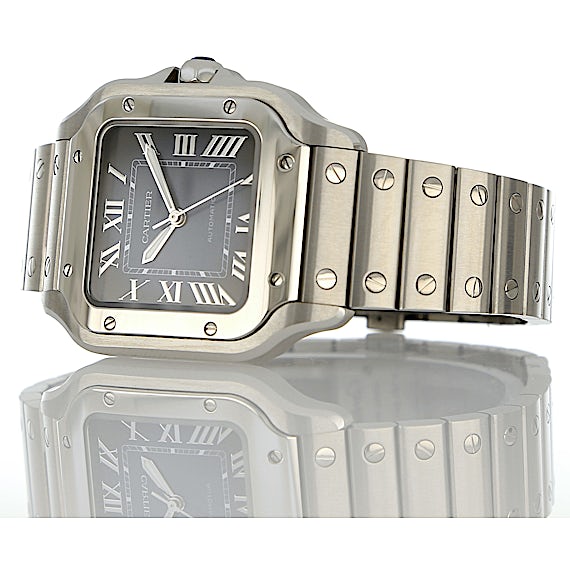 Cartier Santos WSSA0063 Cartier Santos WSSA0063