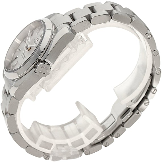 Omega Seamaster Aqua Terra 231.10.30.61.02.002 Omega Seamaster Aqua Terra 231.10.30.61.02.002