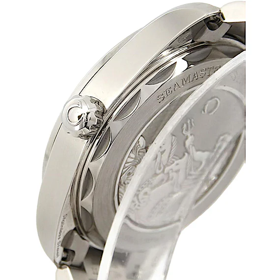 Omega Seamaster Aqua Terra 220.10.38.20.03.004 Omega Seamaster Aqua Terra 220.10.38.20.03.004