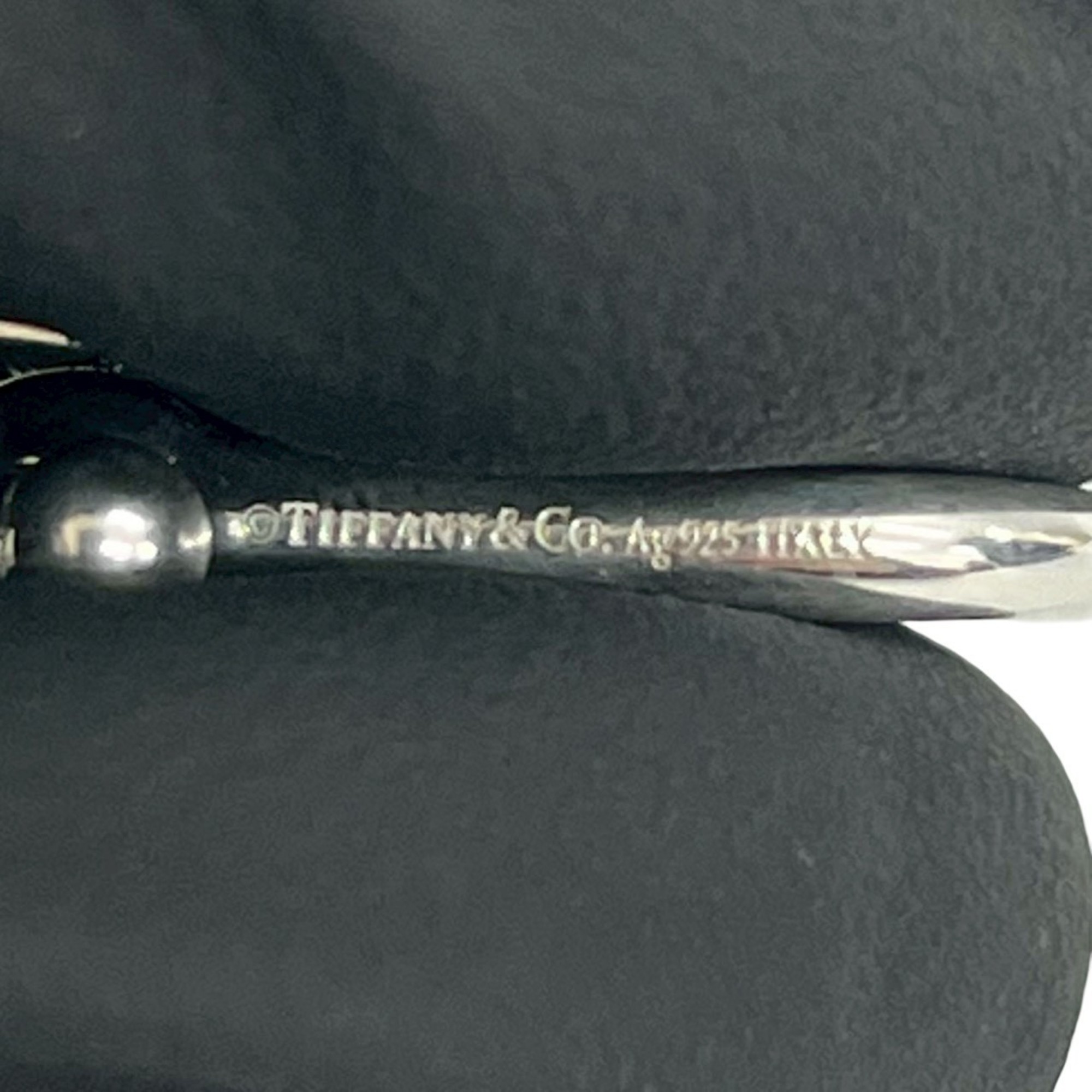 Tiffany Tiffany HardWear Large Link Bracelet RN0000030