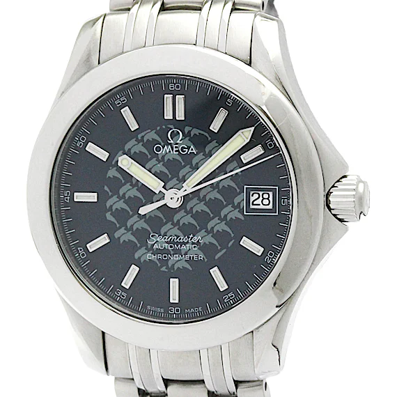 Omega Seamaster 2508.80 Omega Seamaster 2508.80