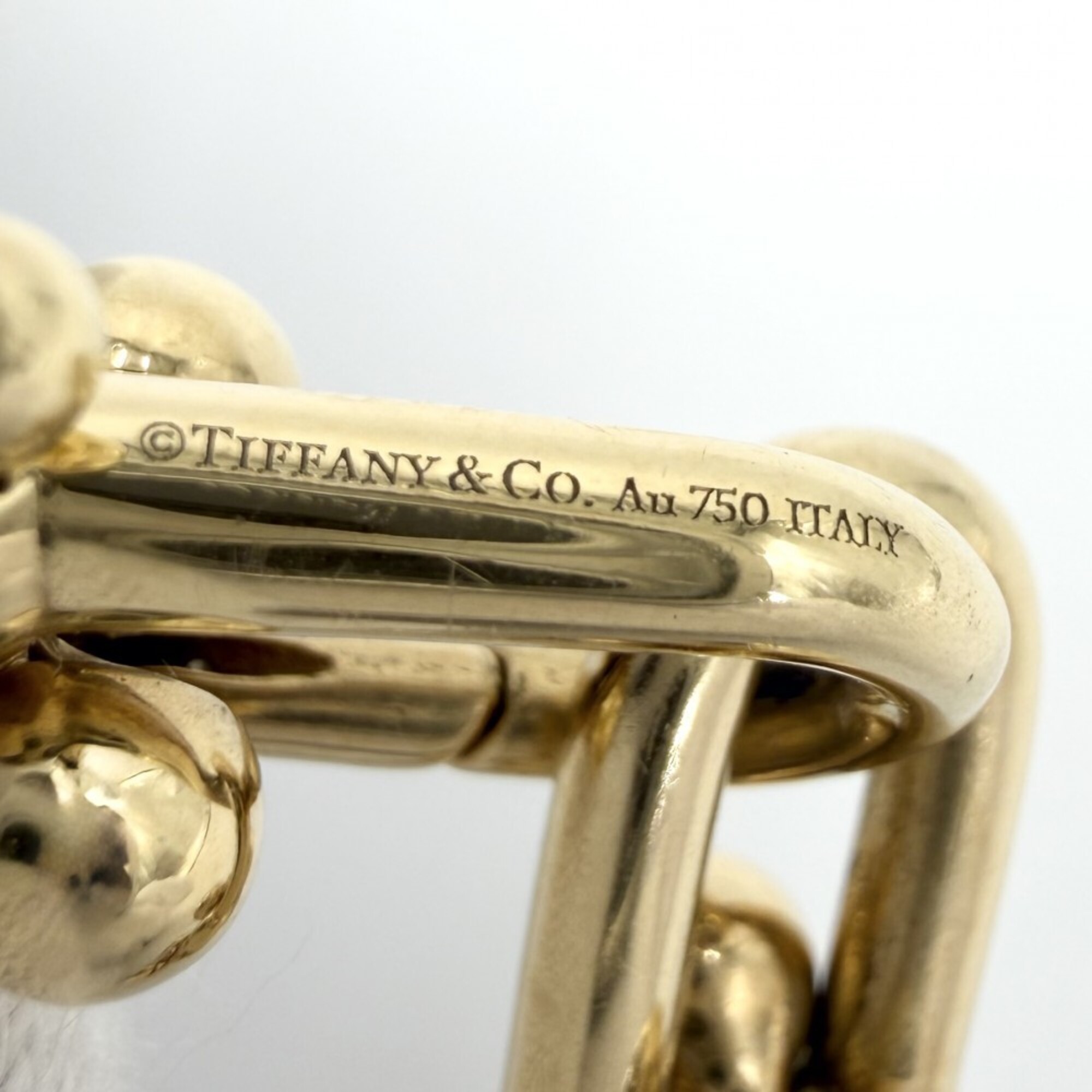 Tiffany Hardware Link Bracelet RN0001791