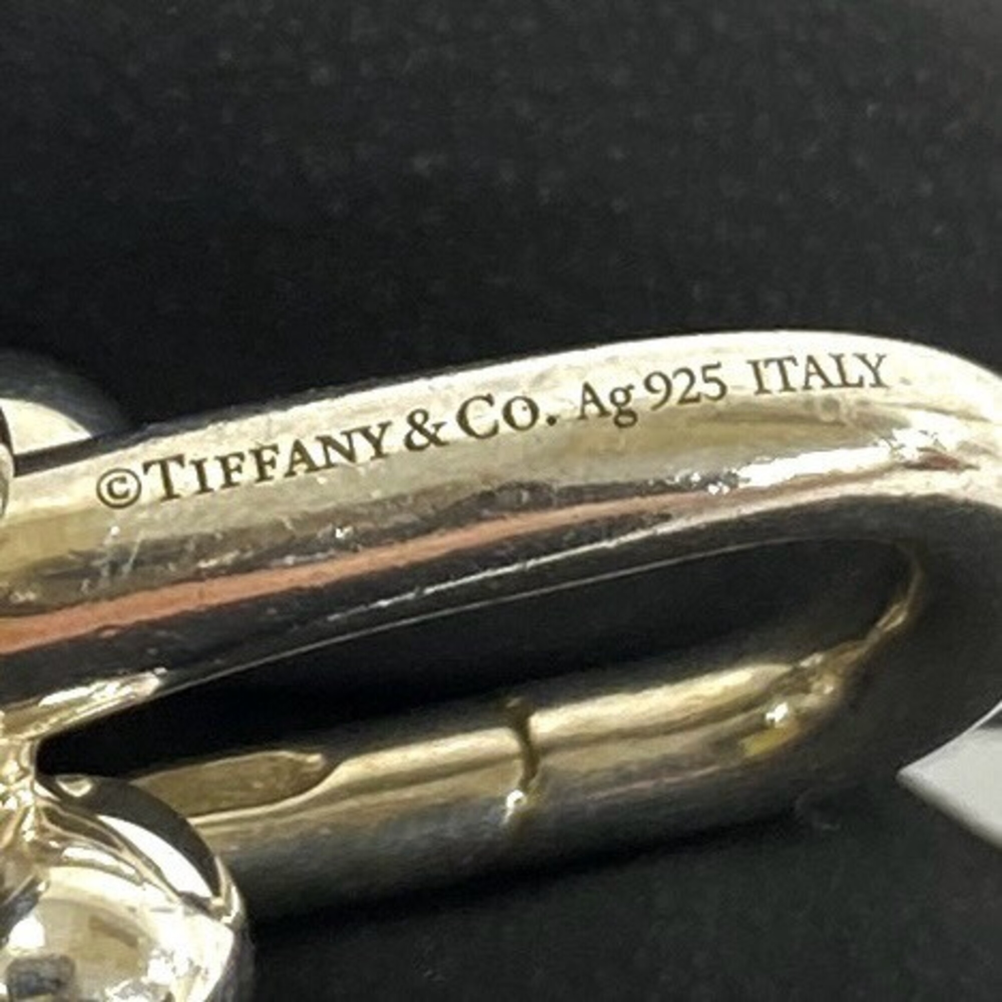 Tiffany Tiffany HardWear Large Link Bracelet RN0002270