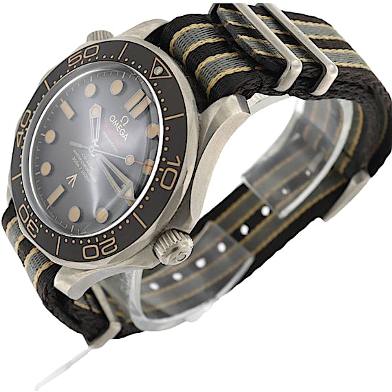 Omega Seamaster 21092422001001 Omega Seamaster 21092422001001